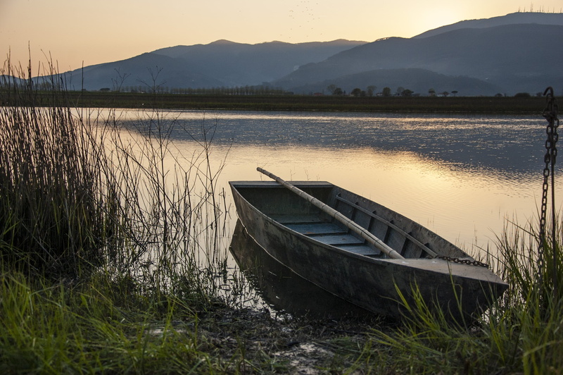 canoe, nature, beauty in nature, green, field, landscape, lake, sky, scenics - nature, reflection, moored, reflections, near, rowboat, mode of transportation
