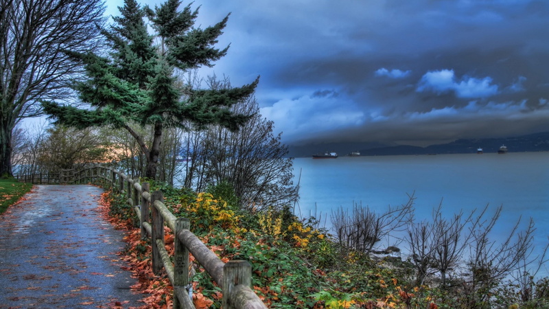cloudy, bank, water, lake, shore, cloud, autumn, tree, plant, park, walkway, nature, coastline, path, 4K, landscape, sky