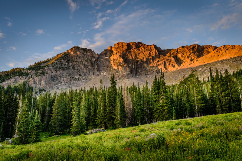 mountain, pine woodland, desktop backgrounds, cloud - sky, grass, daylight, outdoors, remote, idyllic, forest, nature, landscape