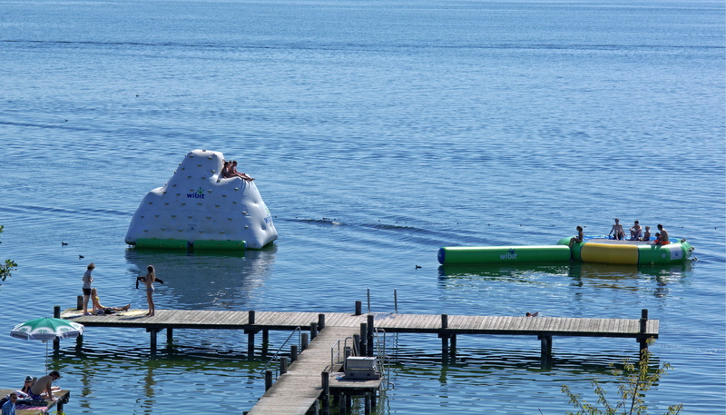 chiemsee, summer, animal themes, no people, scenics - nature, beauty in nature, waterfront, recovery, nature, vertebrate, inflatable, bird, floating on water