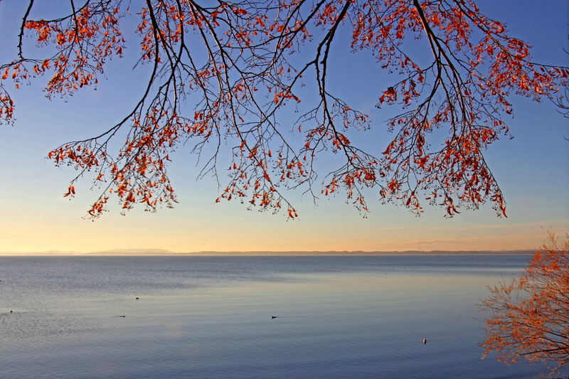change, no people, lake, waters, tranquil scene, idyllic, sea, orange color, scenics - nature, mood, rest, plant, atmospheric, tranquility, water, abendstimmung