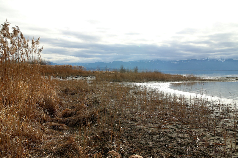 water, no people, tranquility, Eco System, cloud - sky, Live, beauty in nature, landscape, cold temperature, lake, non-urban scene, environment, tree, scenics