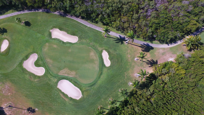 green - golf course, golf, golf course, activity, no people, tree, growth, outdoors, aerial view, grass, leisure activity, day, shadow, palm tree, plants