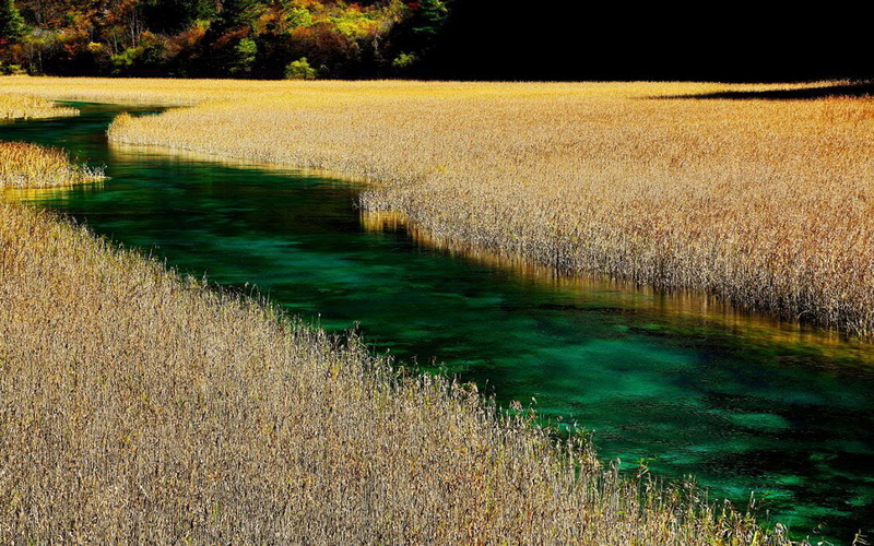 china, green, rice, turquoise, 2K, jiuzhaigou, hd, fields, nature, reserve, landscape, clear, river