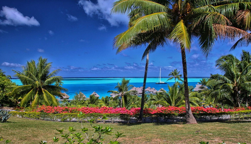 tropical, ocean, beautiful, paradise, bora, view, blue, polynesia, tahiti, 1080P, bora-bora, islands, flowers, beach, lagoon