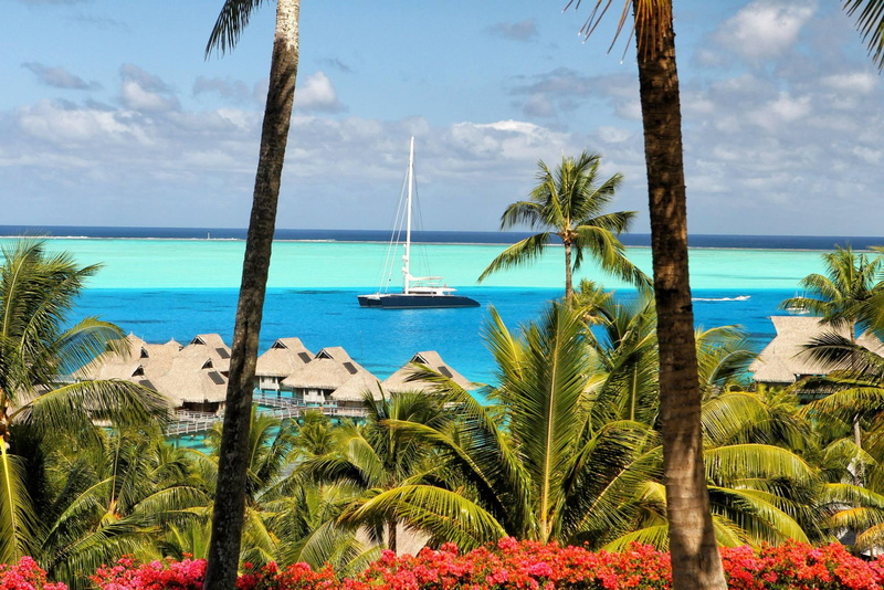 lagoon, palm-trees, bora, islands, tahiti, blue, vista, 1080P, tropical, island, ocean, polynesia, view, bora-bora, exotic