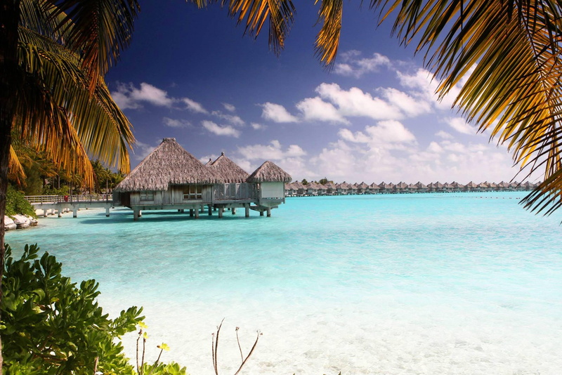 clear, shallow, bora-bora, water, tropical, tahiti, lagoon, bora, aqua, waters, island, 2K, blue, bungalows, sand, beach, ocean
