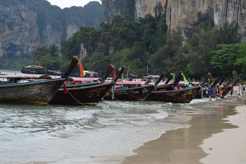 travel, waterfront, mode of transportation, nature, scenics - nature, outdoors, long tail boat, the beach, tree, maya bay, plant, transportation, beauty in nature