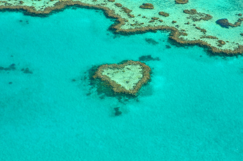 aerial view, sea, high angle view, positive emotion, body, beauty in nature, view, reef, australia, 4K, heart shape, great barrier reef, blue, romantic
