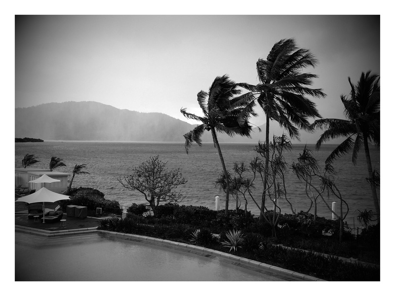 scenery, scenics - nature, sky, trip, palm tree, tranquility, swimming pool, tourism, whitsundays, coconut palm tree, auto post production filter, travel