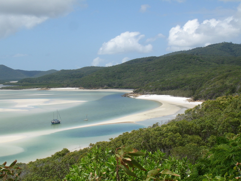 water, nature, beauty in nature, whitsundays - australia, mode of transportation, tree, scenics - nature, 2K, tranquility, holidays, beach, blue, bay