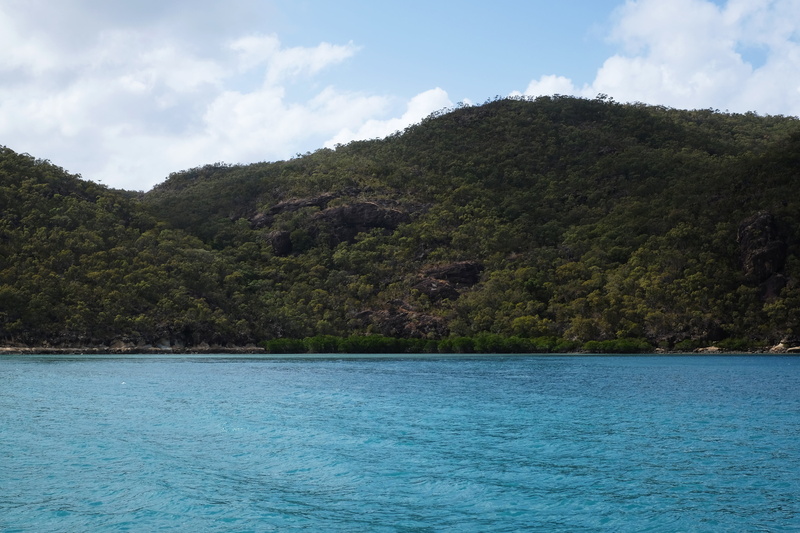 4K, australia, growth, plant, waterfront, beach, scenics - nature, idyllic, outdoors, whitsundays, nature, no people, blue, day, tranquil scene, scenic