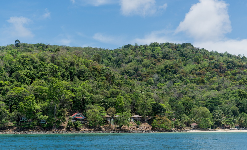 koh phi phi, nature, day, asia, phuket, plant, sea, growth, tropical climate, destination, holiday, paradise, 5K, scenics - nature, outdoor, tranquil scene