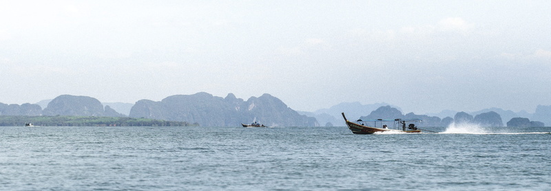animal, summer, asia, animal themes, travel, sailboat, nature, sailing, tranquility, transportation, water, boat, nautical vessel, long-tail boat, land