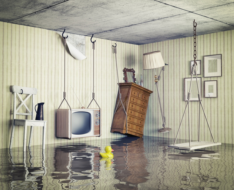 seat, duck, day, indoors, the flood, ceiling, TV, lighting equipment, business, reflection, wooden, accidents and disasters, no people, office, interior