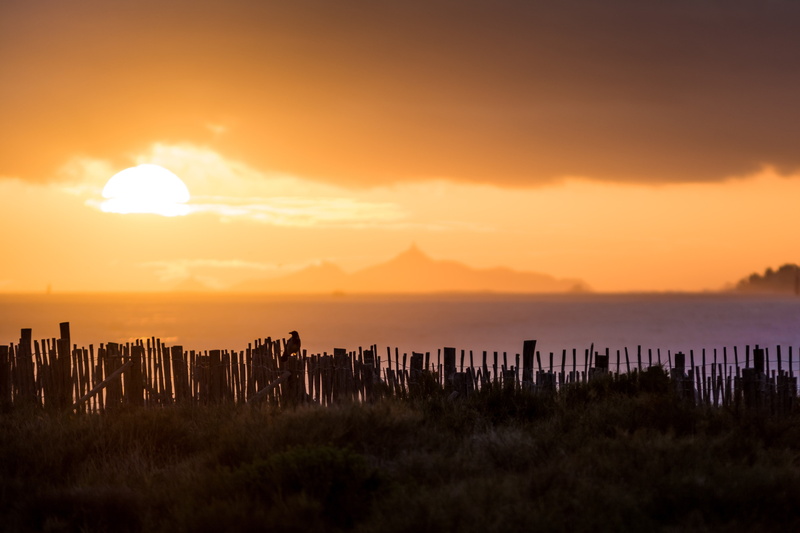 skyscraper, sun, cityscape, no people, sea, cloud - sky, building, wooden post, architecture, silhouette, beauty in nature, 4K, sunset, nature, water