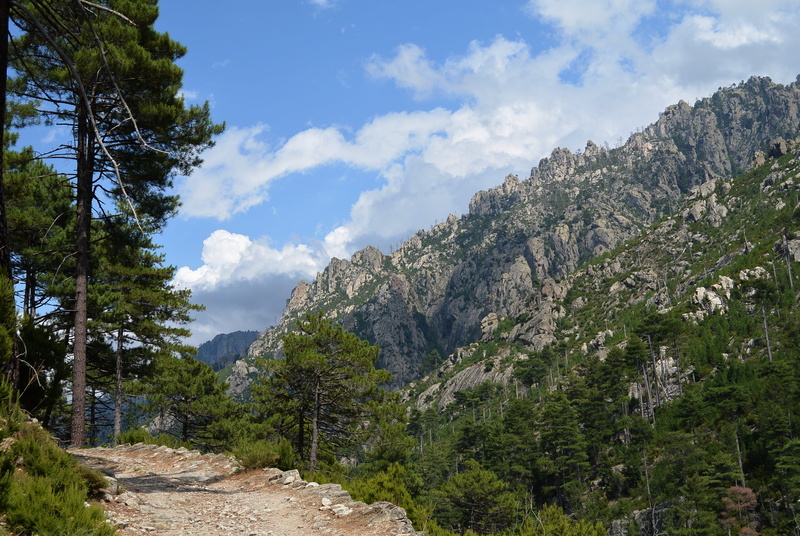 forest, tranquil scene, coniferous tree, sky, landscape, formation, pine, valley, beauty in nature, plant, 4K, no people, scenics - nature, day, cloud - sky