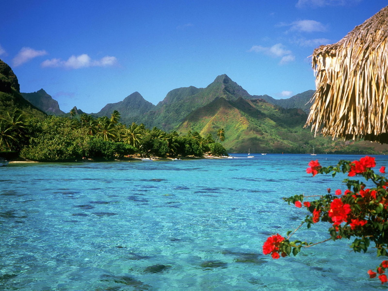 clear, mountains, clouds, nature, nature and la, photography, 2K, flowers, crystal, tropical, body, ocean, beach, water