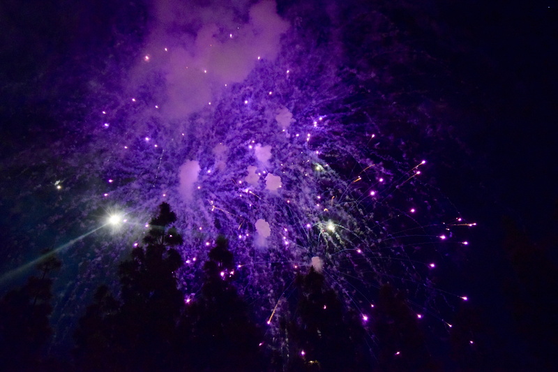 nature, celebration, dark, firework, glowing, celebration event, motion, night, illuminated, disneyland park, anaheim, purple, plant, firework display