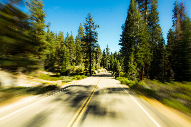 adventure, nature, transportation, day, sequoia national park, scenics - nature, no people, green color, coniferous tree, driving, pine woodland, in motion