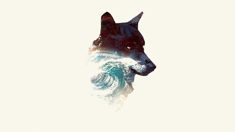 copy space, animal head, swim, dog, night, close-up, canine, domestic, looking, studio shot, robert, animal body part, one animal, domestic animals, vertebrate