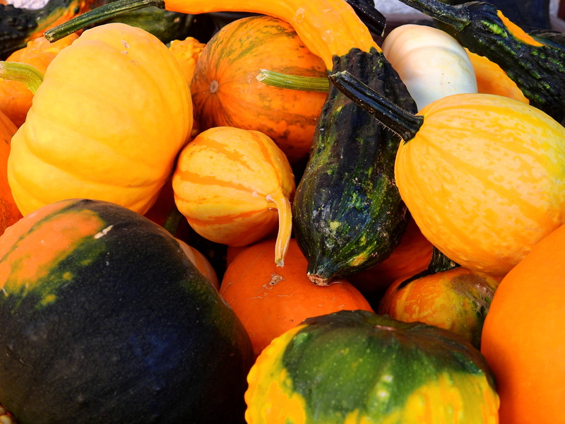4K, nature, yellow, season, ripe, orange, close-up, fruit, harvest, food, freshness, still life, food and drink, decoration, wellbeing, thanksgiving, high angle view