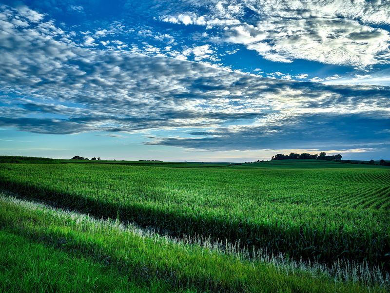 Earth, Field, Iowa, Horizon, Green, Nature, 1080P, Corn, Landscape, USA