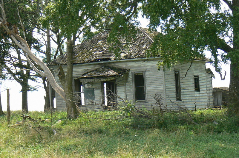 iowa, grass, animals, old, trees, 1080P, house