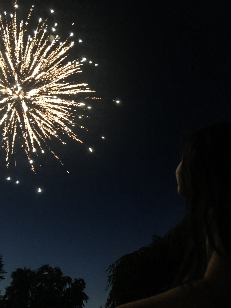 low angle view, explosive, night, celebration, fireworks, dark, july 4th, tree, light, outdoors, nature, emotion, arts culture and entertainment, firework
