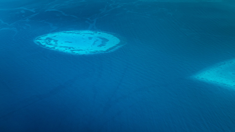saltwater fish, one animal, undersea, outdoors, fish, travel, marine, 2K, reef, no people, day, adventure, oceanscape, land, water, nature, ocean, sea