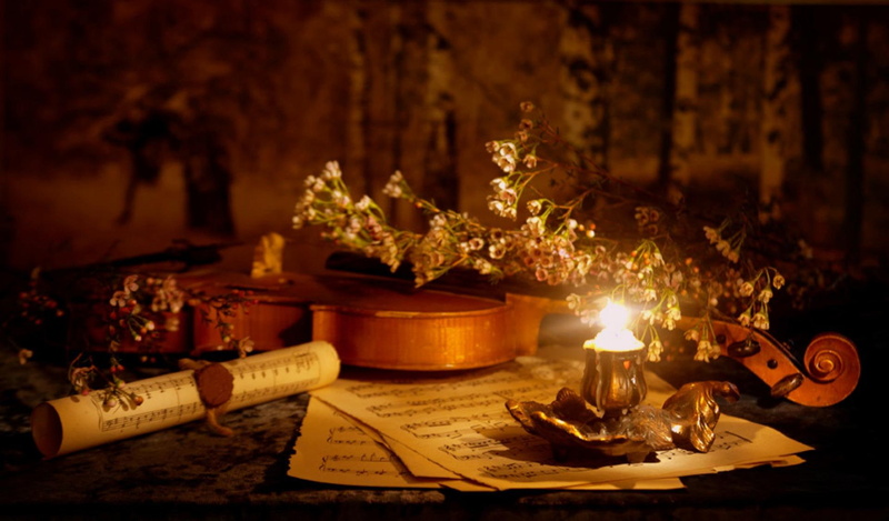 green, music sheets, still life, flowers, 1080P, white, petaled, evening, candle, violin, 3d and abstract, romance, romantic