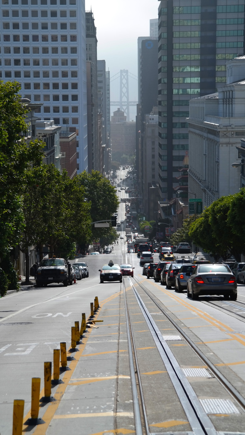 city Life, traffic, mode of transportation, trees, car, urban Scene, tourist, road, built Structure, no people, tree, steep, high-rise buildings, cityscape