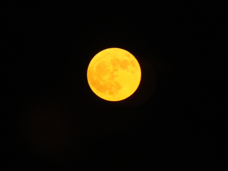 amber moon, 2K, outdoors, orange color, moon, scenics - nature, sky, geometric shape, night, moonlight, copy space, harvest moon, astronomy, beauty in nature