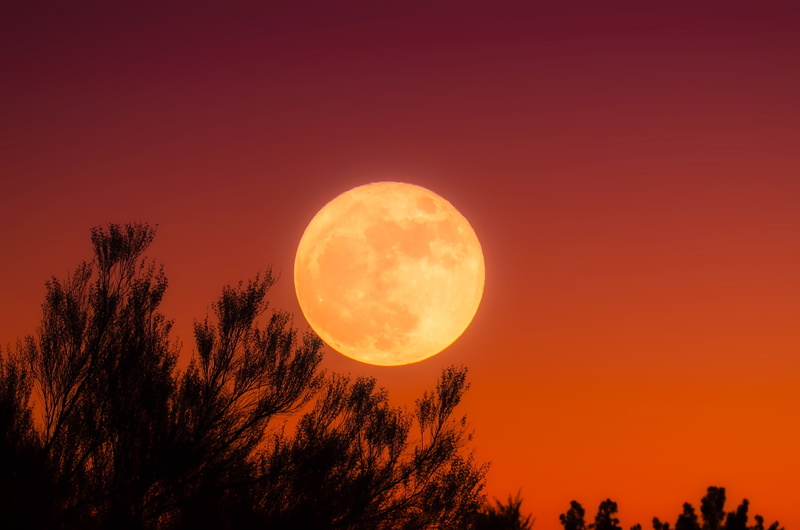 shape, beauty in nature, no people, astronomy, nature, plant, scenics - nature, hdr, 1080P, outdoors, tranquil scene, dusk, sky, scenics, evening, sunset