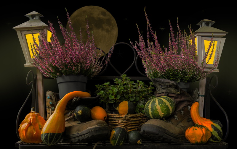 healthy eating, autumn, flowering plant, lantern, still life, choice, photography, decoration, vegetable, gourd, arrangement, thanksgiving, table, moon