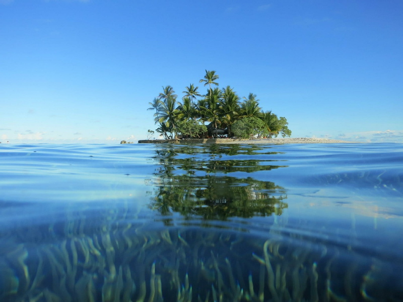 surface level, growth, waterfront, jeep, nature, scenics - nature, south island, outdoors, beauty in nature, island, clear sky, an uninhabited island, tranquility