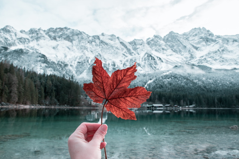 plant, finger, eibsee, water, human body part, tree, zugspitze, maple leaf, person, change, leaf, one person, forest, human, outdoors, outdoor, trees, scenics - nature