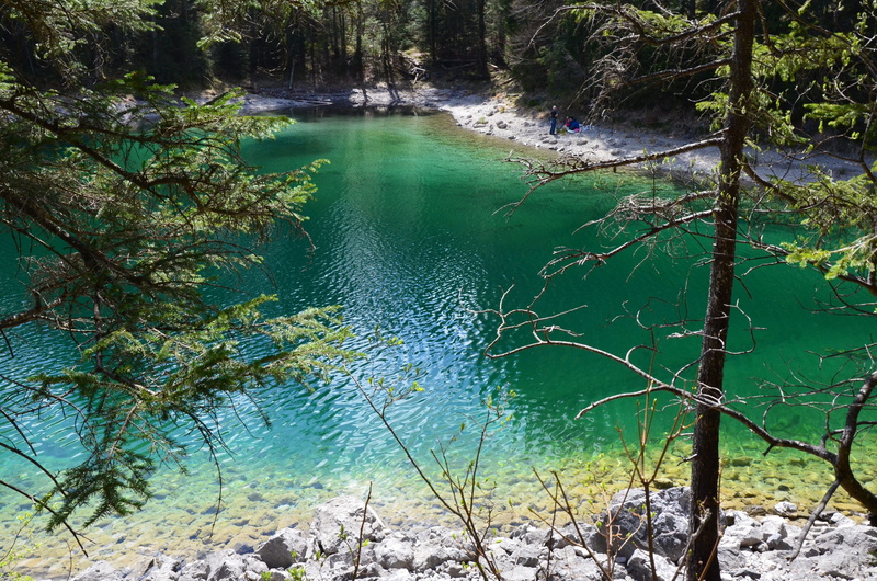 green color, tranquil scene, plant, lake, turquoise colored, growth, grainau, day, outdoors, nature, bavaria, Reflection, branch, flowing water, non-urban scene