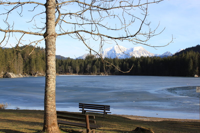 tree, non-urban scene, beauty in nature, forest, 4K, Germany, water, scenics, bare tree, Bavaria, day, mountain, lake, tranquility, tranquil Scene, Hintersee