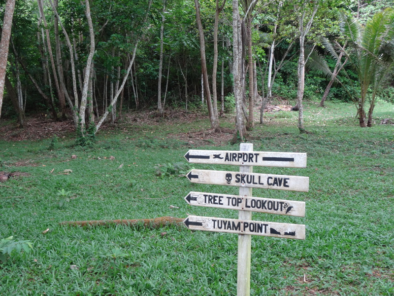 text, papua new guinea, field, no people, plant, oceania, tree trunk, western script, airport sign, nature, green color, growth, communication, tranquility