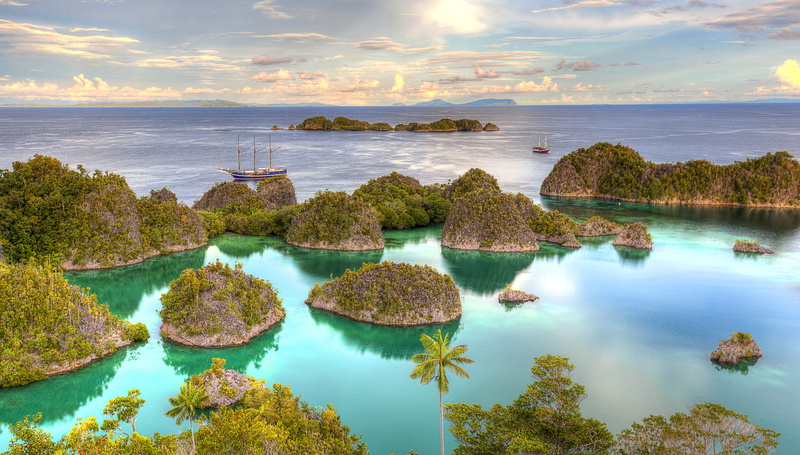 Tree, Indonesia, West Papua, Yacht, Earth, Ocean, Horizon, Island, Turquoise, 2K, Boat