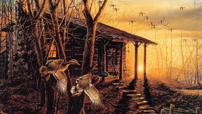 trees, 1080P, cabin, ducks, morning, 3d and abstract, retreat