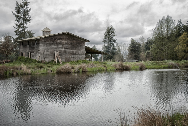 building, across, growth, reflection, tree, day, lake, beauty in nature, sky, view, river, no people, plant, retreat, wilderness, outdoors, rustic, tranquility