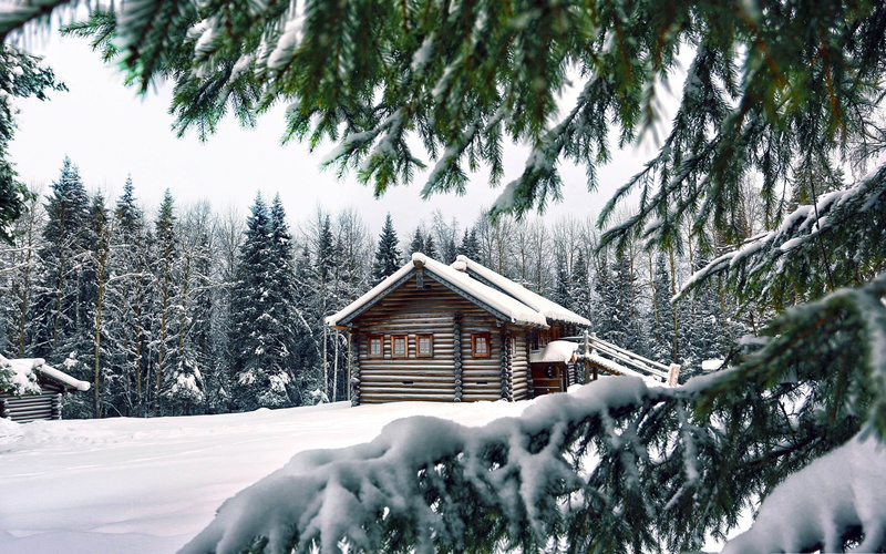 outdoors, snowing, land, powder snow, nature, winter, cabin, wooden, snow, day, pine tree, landscape, architecture, plant, cottage, retreat