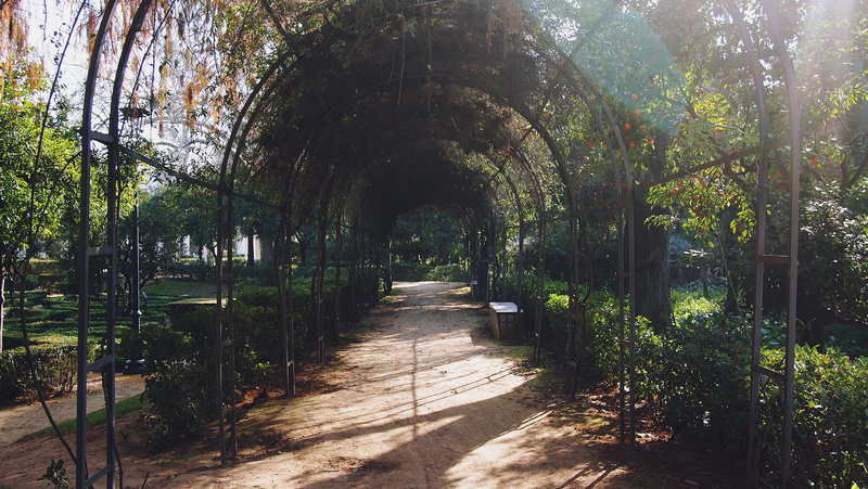 nature, parque de maría luisa, seville, arch, blessing, the way forward, no people, bench, walk, retreat, diminishing perspective, travel, park, spain