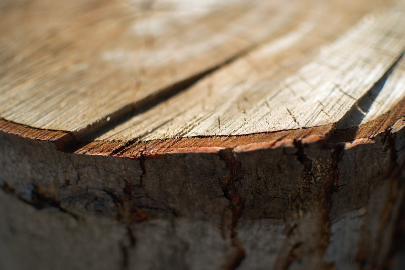 old, 2K, happy, pattern, aged, wood - material, layers, sunny, tree, weathered, cut, hot, full frame, log, bark, brown, day, bright, warm, fire, rough