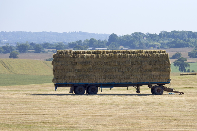 wheel, rural scene, plant, farm, heat haze, motion, meadow, business, farmland, vehicle trailer, landscape, agriculture, transportation, hay trailer, mode of transportation