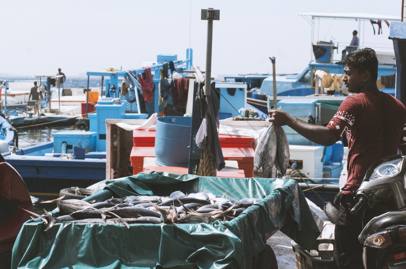 day, fish, sea, nautical vessel, retail, men, ocean, boats, transportation, incidental people, for sale, maldives, fishing, 4K, fish market, outdoors