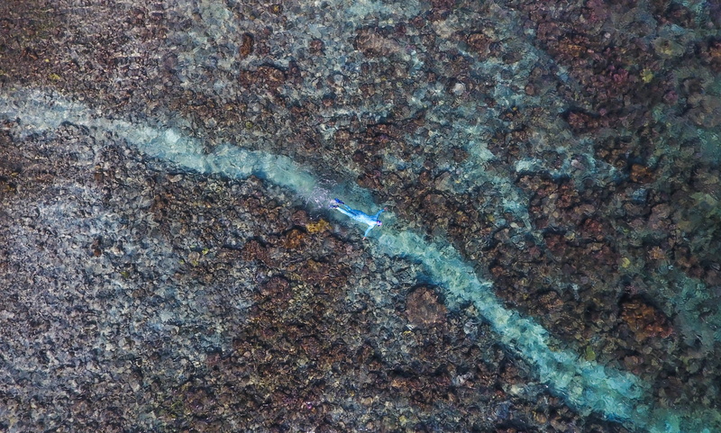 textured, metal, high angle view, outdoors, motion, coral reef, snorkelling, rock, aerial photo, house reef, our planet, fear, diver, underwater, coral