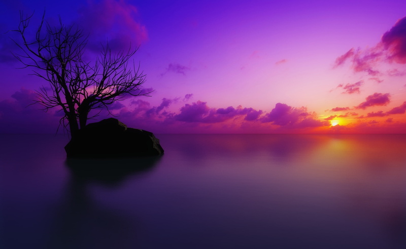 tree, maldivian, sky, maldivian sunset, Sun and Sky, tranquility, romantic sky, purple, water, lake, cloud - sky, tranquil scene, beauty in nature